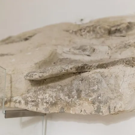 Apartament Relax E Belvedere Fasano