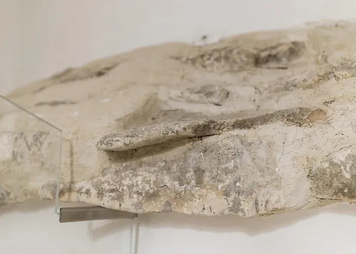 شقة Relax E Belvedere فاسانو